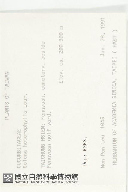 茅瓜藏品圖，第2張