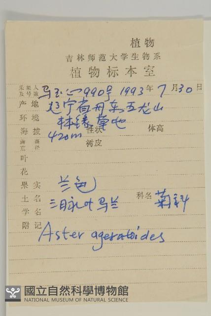 山白蘭藏品圖，第2張