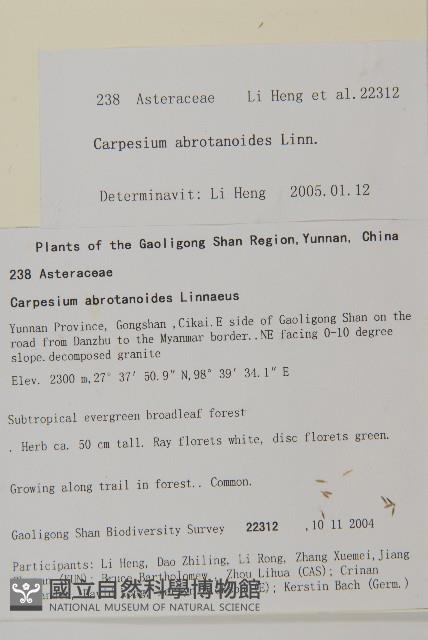 天名精藏品圖，第2張