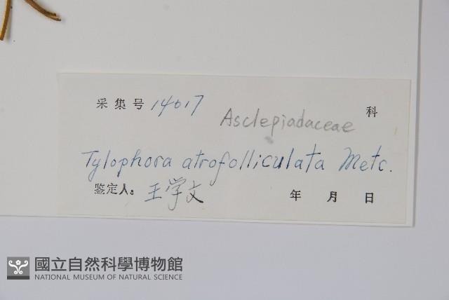 三分丹藏品圖，第2張