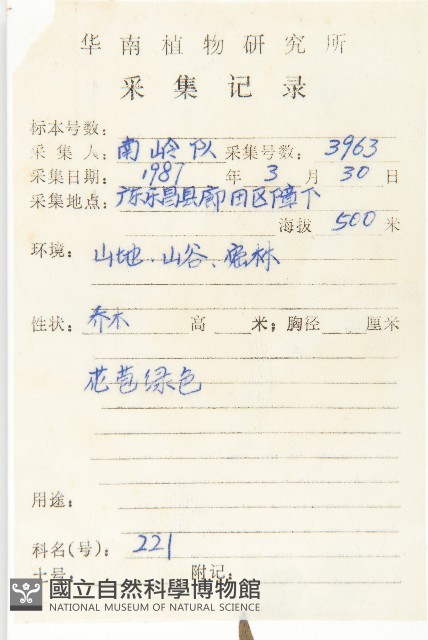 油柿藏品圖，第2張
