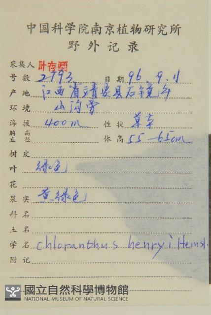 寬葉金粟蘭藏品圖，第2張