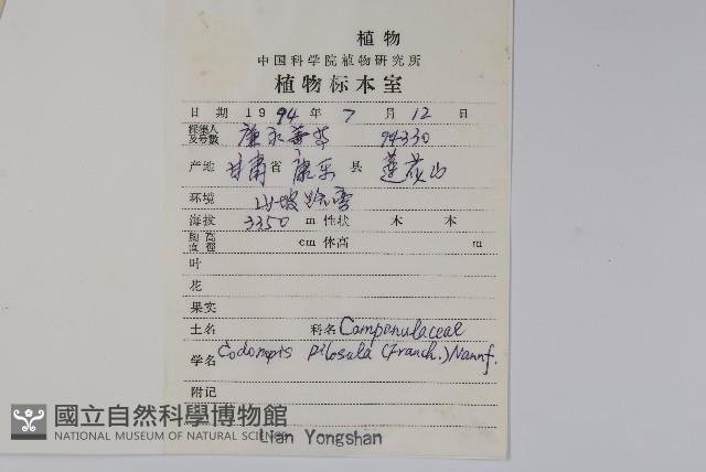 台參藏品圖，第2張