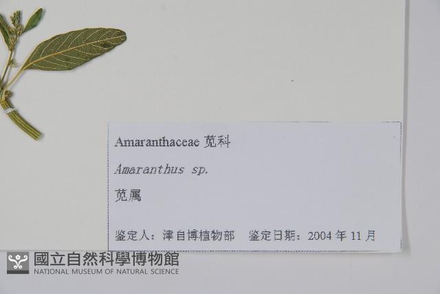 登錄號:S105251藏品圖，第2張