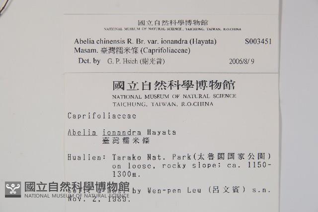 臺灣糯米條藏品圖，第2張