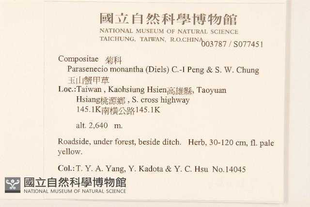 玉山蟹甲草藏品圖，第2張