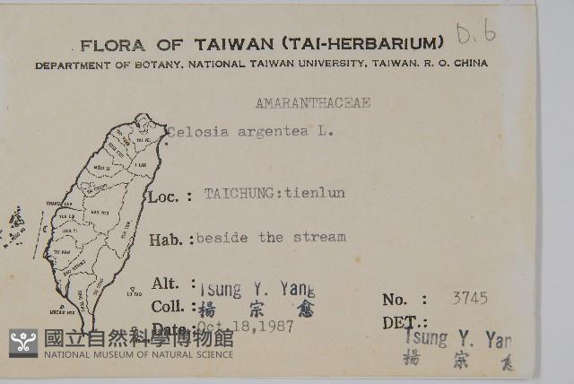 青葙藏品圖，第2張