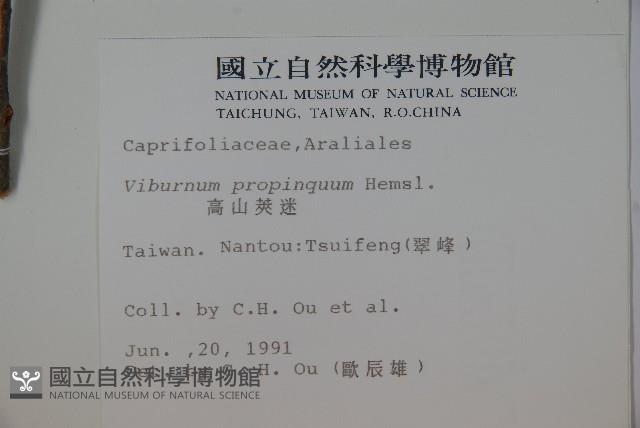 高山莢迷藏品圖，第2張