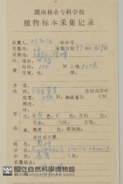 香青藏品圖，第2張