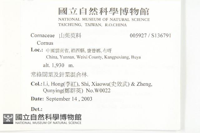 登錄號:S136791藏品圖，第2張