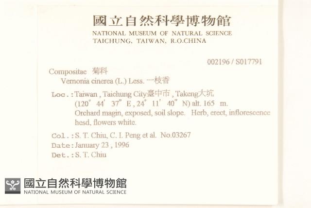 一枝香藏品圖，第2張