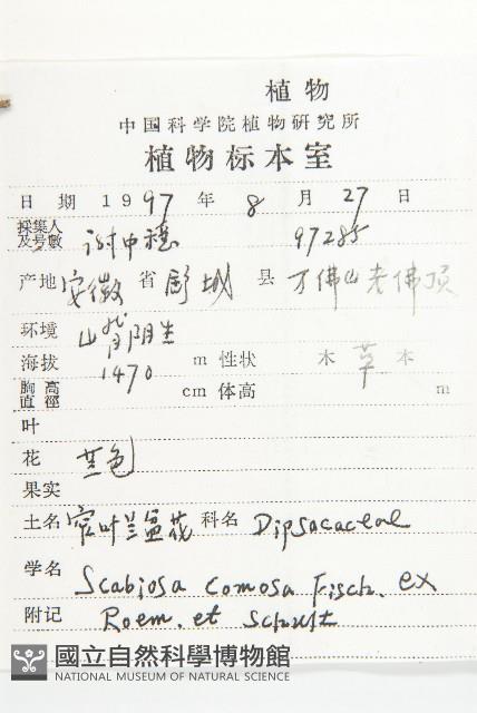 小連翹藏品圖，第2張