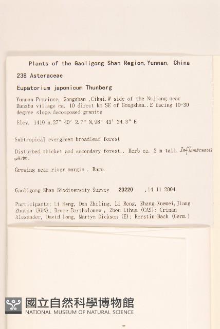 Accession Number:S106291 Collection Image, Figure 2, Total 3 Figures
