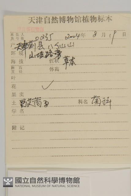 野艾蒿藏品圖，第2張