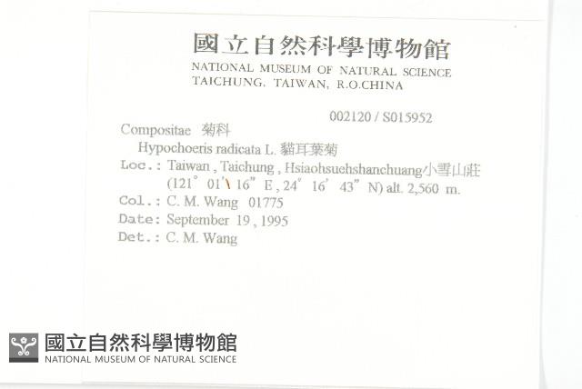 青牛膽藏品圖，第2張