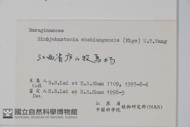 浙贛車前紫草藏品圖，第2張