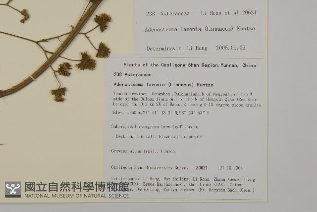 下田菊藏品圖，第2張