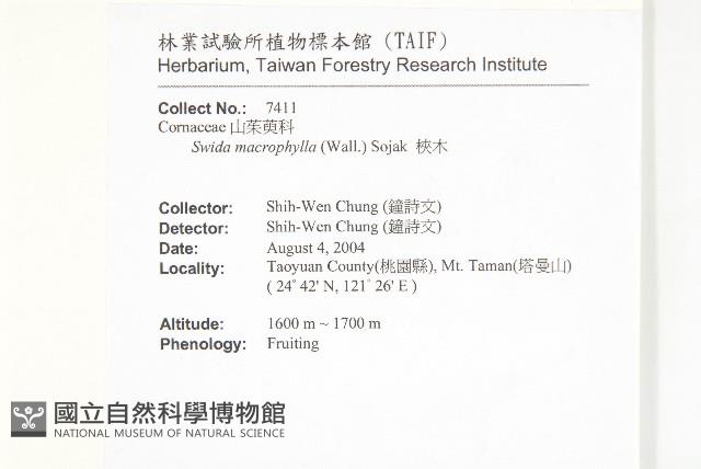 梜木藏品圖，第2張