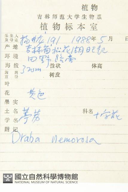 葶藶藏品圖，第2張