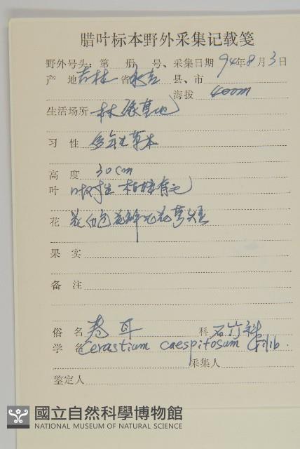 簇生卷耳藏品圖，第2張