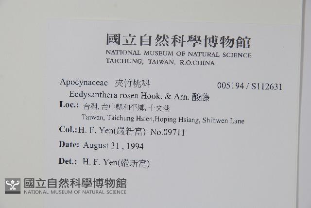 酸藤藏品圖，第2張