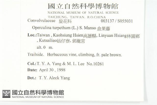 盒果藤藏品圖，第2張