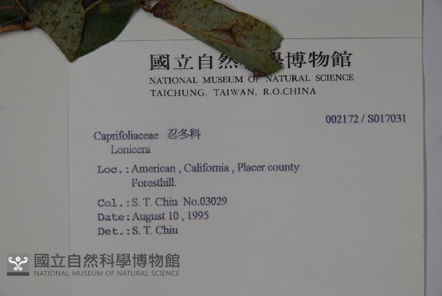 登錄號:S017031藏品圖，第2張