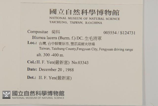 生毛將軍藏品圖，第2張