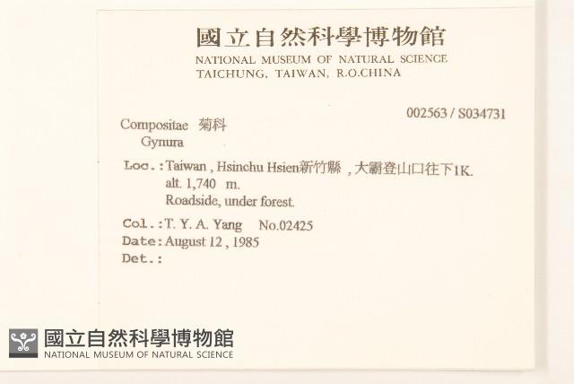 登錄號:S034731藏品圖，第2張