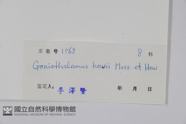 海南哥納香藏品圖，第2張