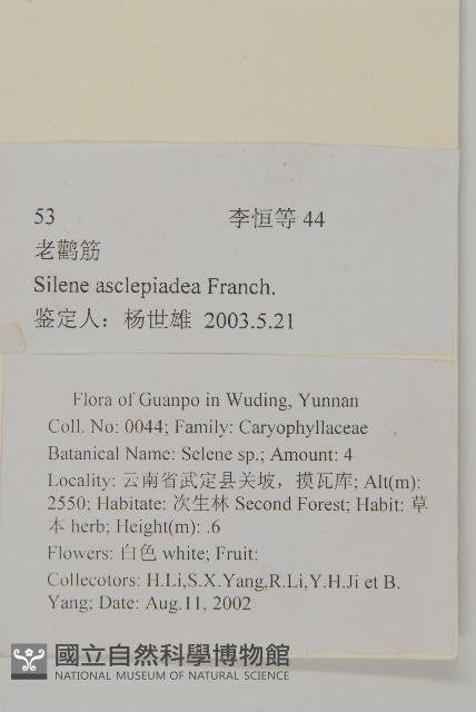 老鸛筋藏品圖，第2張