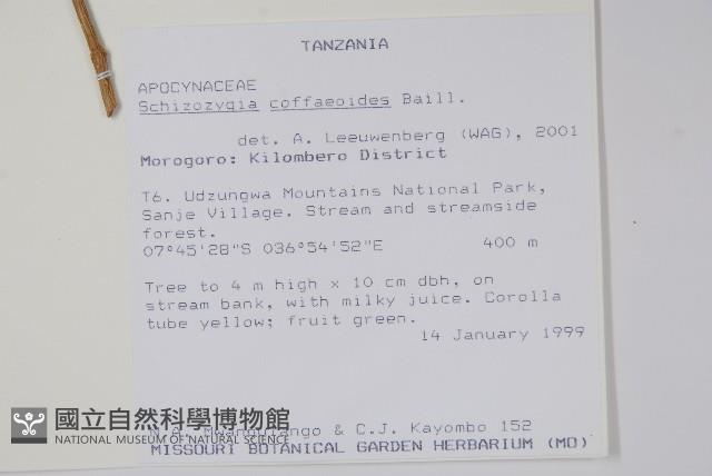 登錄號:S096431藏品圖，第2張