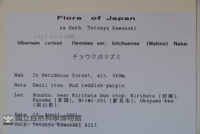 登錄號:S113431藏品圖，第2張