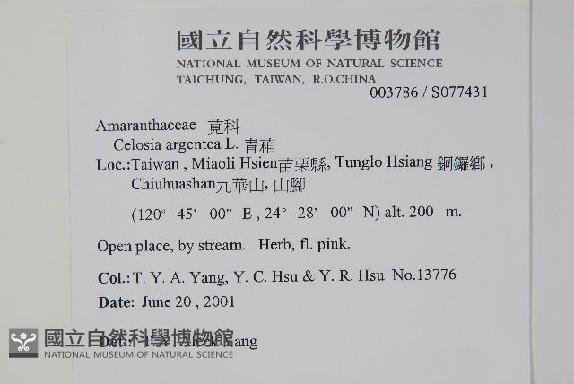 青葙藏品圖，第2張