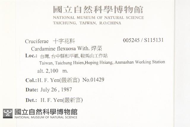 焊菜藏品圖，第2張