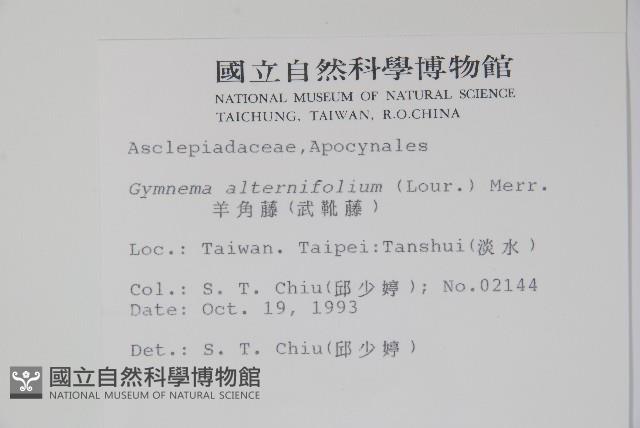 羊角藤、武靴藤藏品圖，第2張