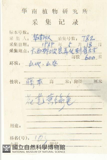 茅瓜藏品圖，第2張