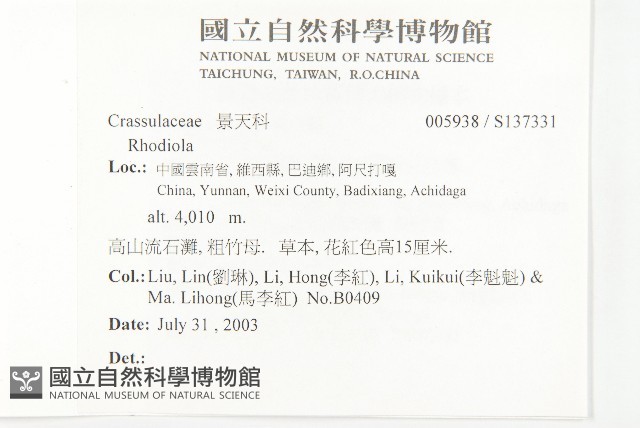 登錄號:S137331藏品圖，第2張