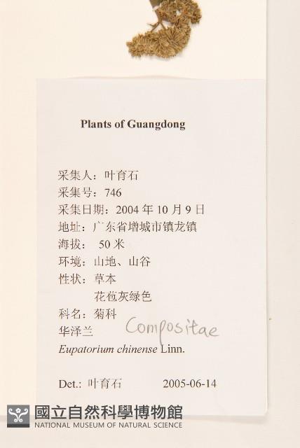 華澤蘭藏品圖，第2張