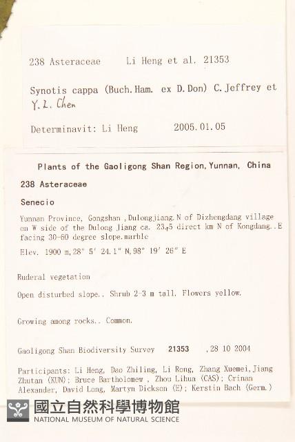 密花尾藥菊藏品圖，第2張