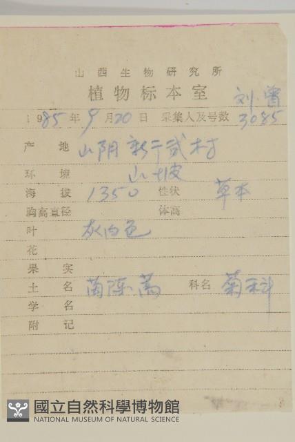 茵蔯蒿藏品圖，第2張