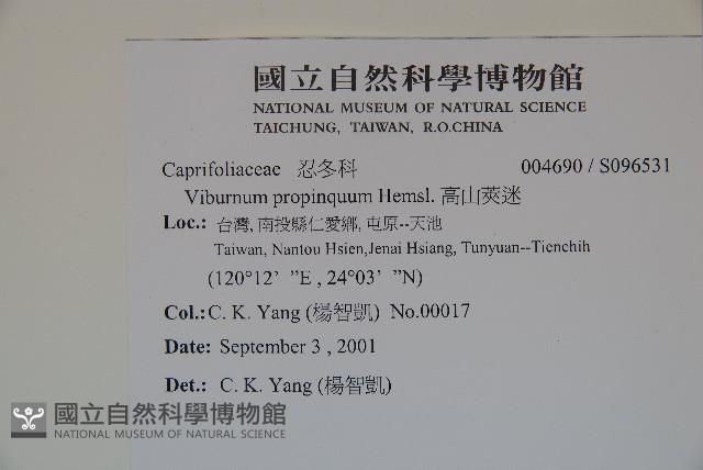 高山莢迷藏品圖，第2張