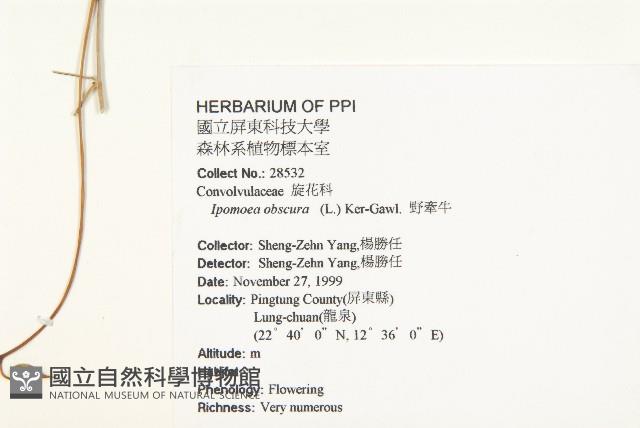 野牽牛藏品圖，第2張