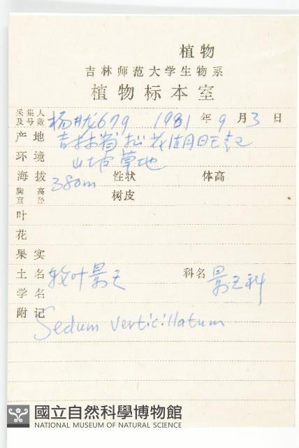 輪葉景天藏品圖，第2張