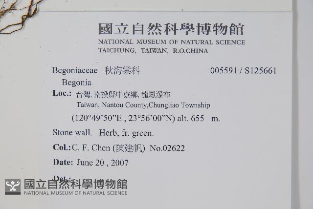 登錄號:S125661藏品圖，第2張