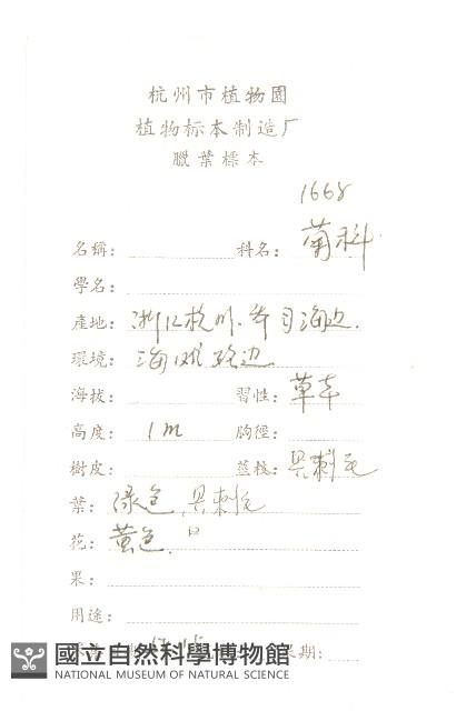 黑心金光菊藏品圖，第2張