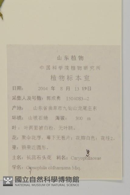 Accession Number:S104661 Collection Image, Figure 2, Total 2 Figures