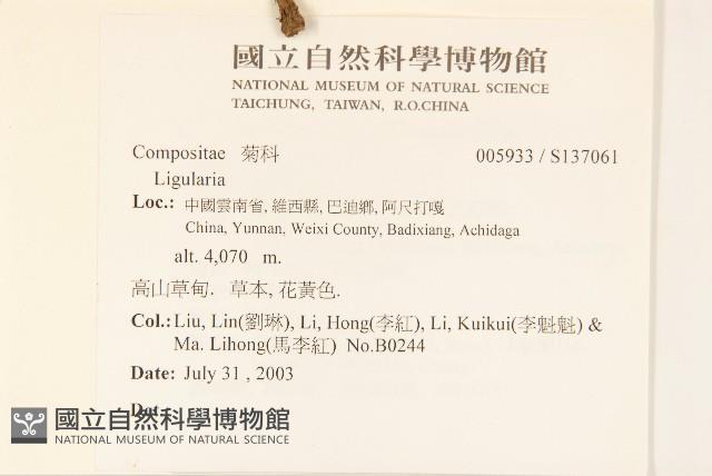 登錄號:S137061藏品圖，第2張