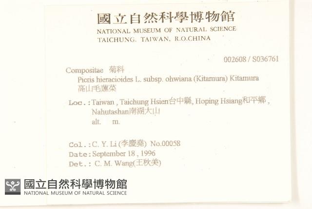 高山毛蓮菜藏品圖，第2張