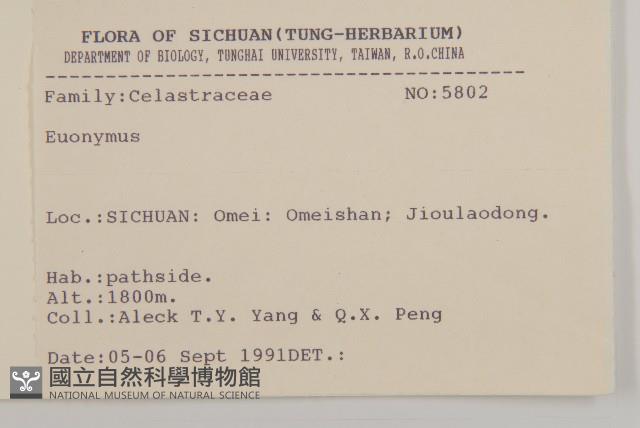 登錄號:S025761藏品圖，第2張